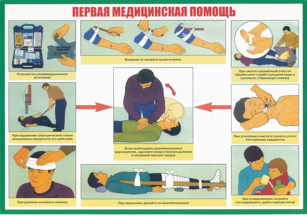 Скачать книгу первая медицинская помощь